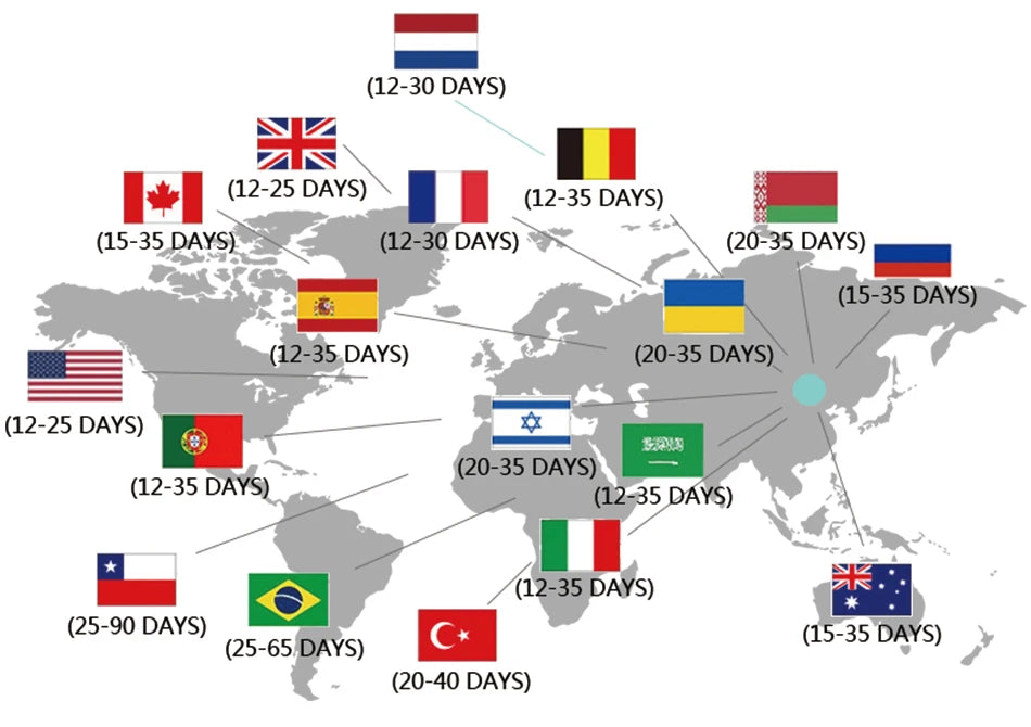 Gothic Black Dress Halloween Costume