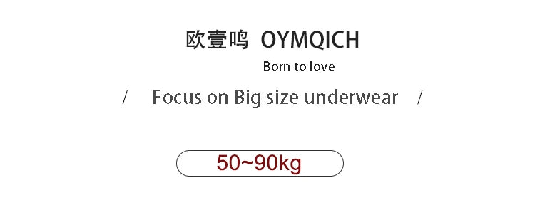 Women's underwear Large Size Sexy Lace